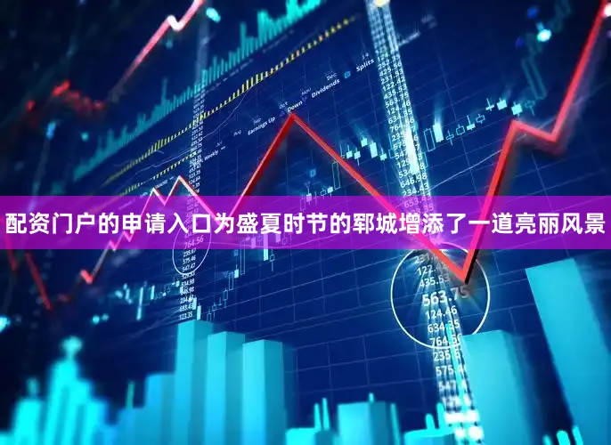 配资门户的申请入口为盛夏时节的郓城增添了一道亮丽风景