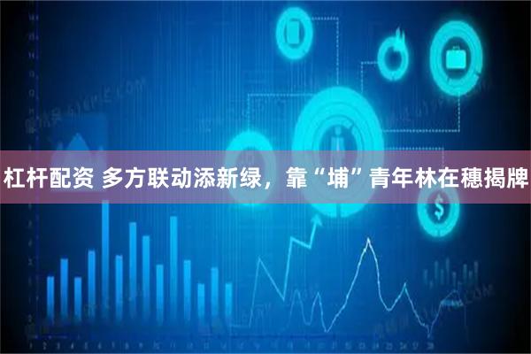 杠杆配资 多方联动添新绿，靠“埔”青年林在穗揭牌