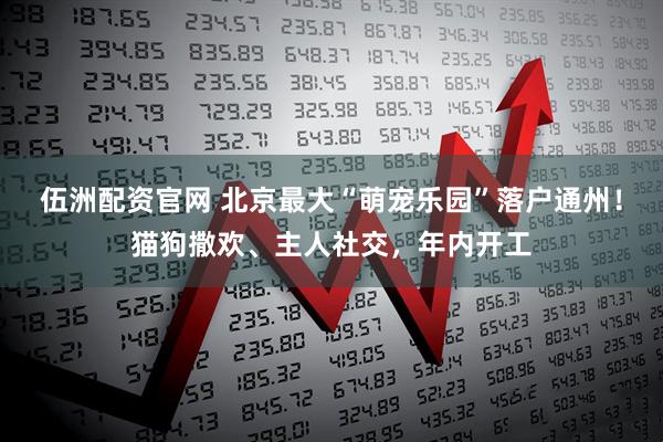 伍洲配资官网 北京最大“萌宠乐园”落户通州！猫狗撒欢、主人社交，年内开工