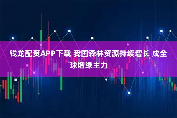 钱龙配资APP下载 我国森林资源持续增长 成全球增绿主力