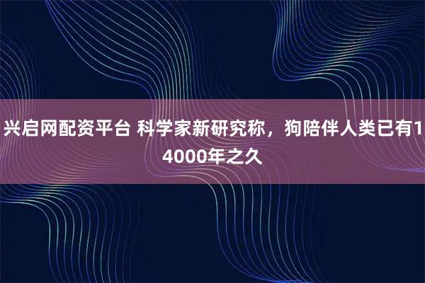 兴启网配资平台 科学家新研究称,狗陪伴人类已有14000年之久